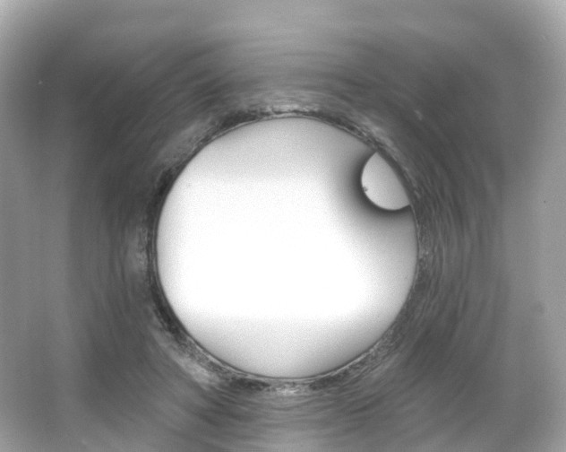 X0000066090402200603101008