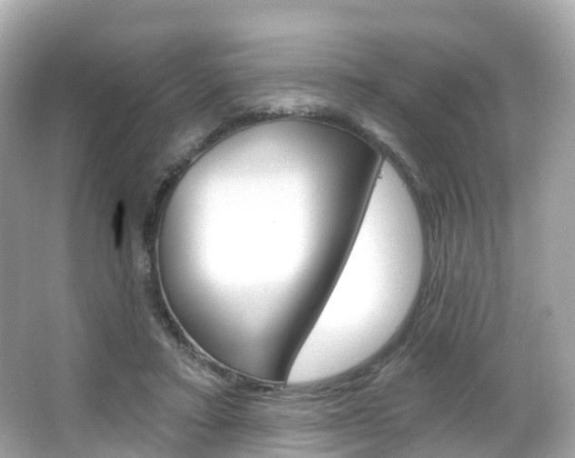 X0000066090403200603101008