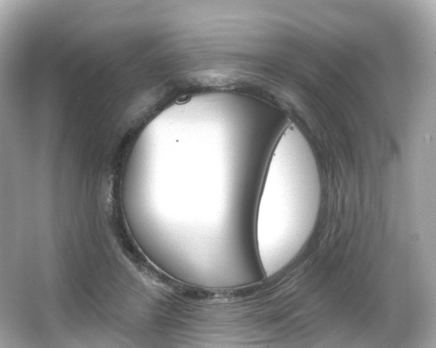 X0000066090404200603101008