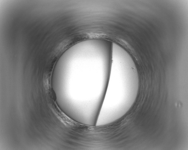 X0000066090405200603101008