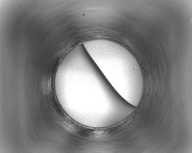 X0000066090406200603101008