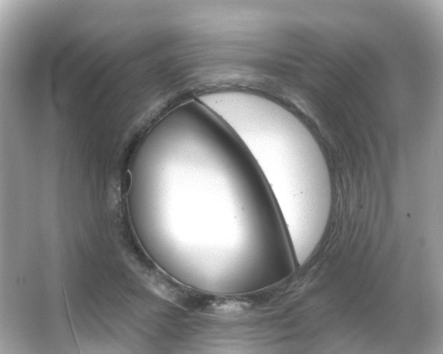 X0000066090407200603101008