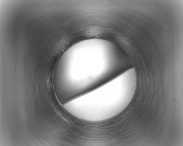 X0000066090408200603101008