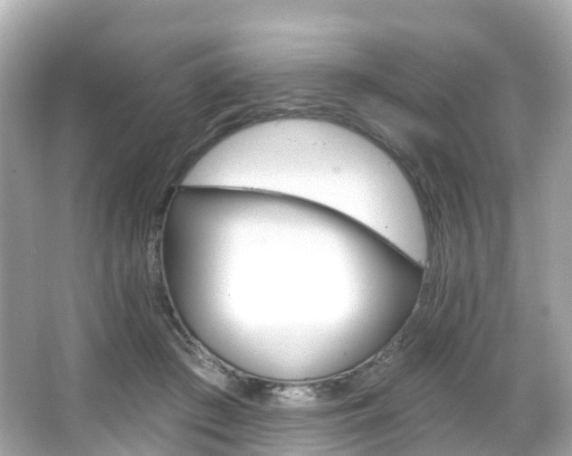 X0000066090409200603101008