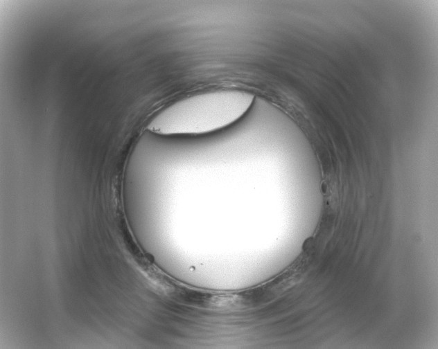 X0000066090410200603101008