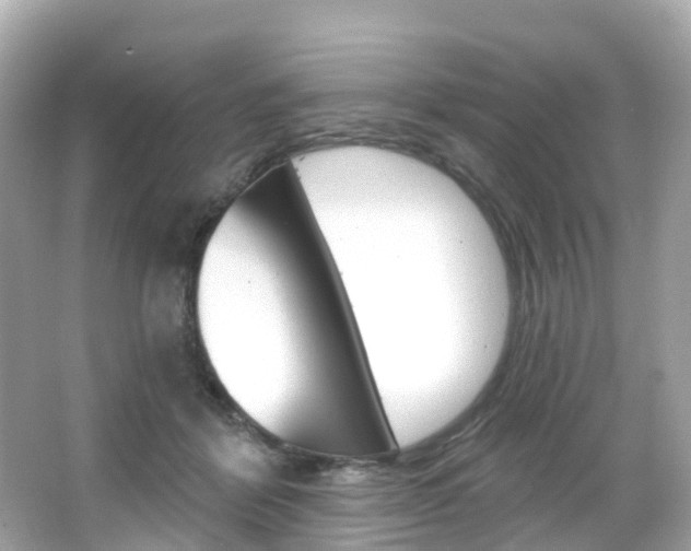 X0000066090412200603101008