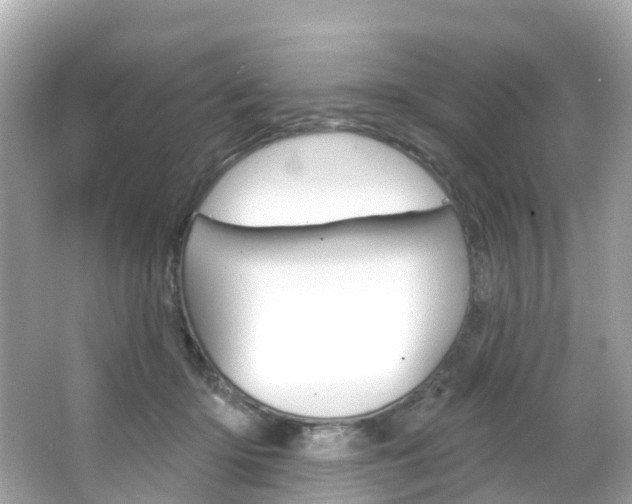 X0000066090414200603101008