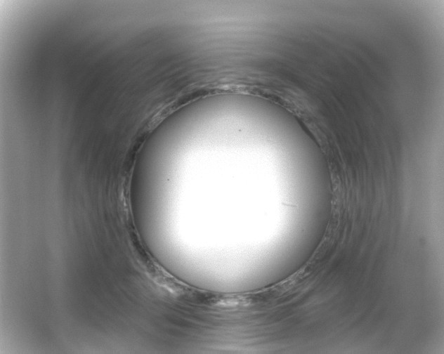 X0000066090415200603101008