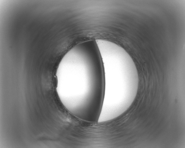 X0000066090416200603101008