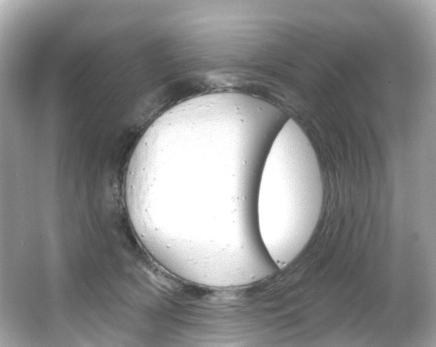 X0000066090418200603101008