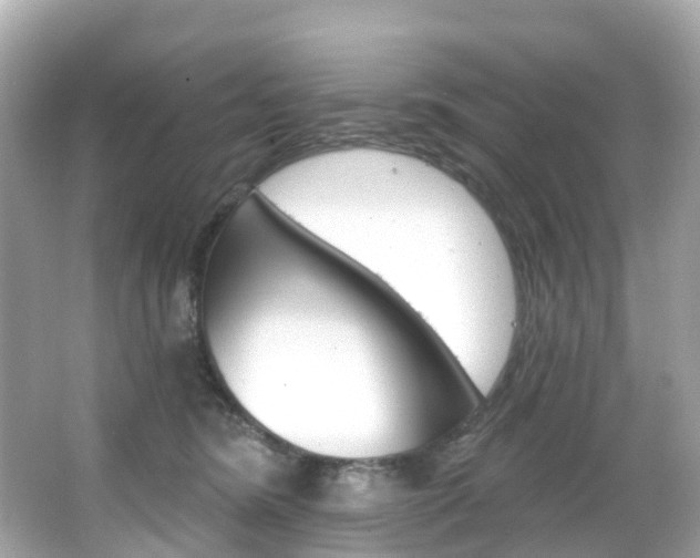 X0000066090420200603101008