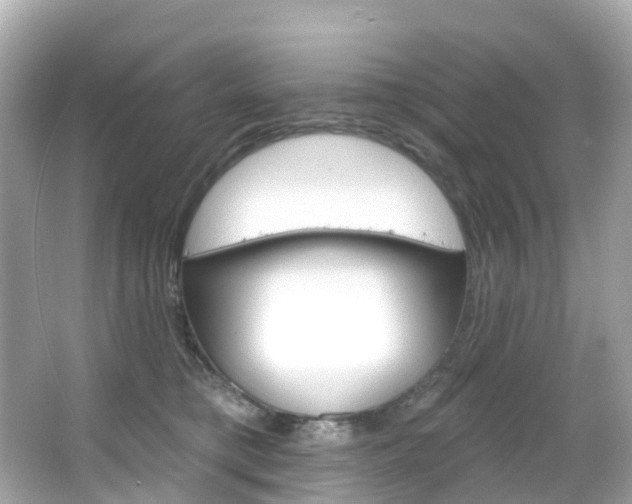 X0000066090421200603101008