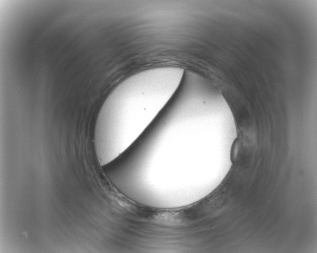 X0000066090422200603101008