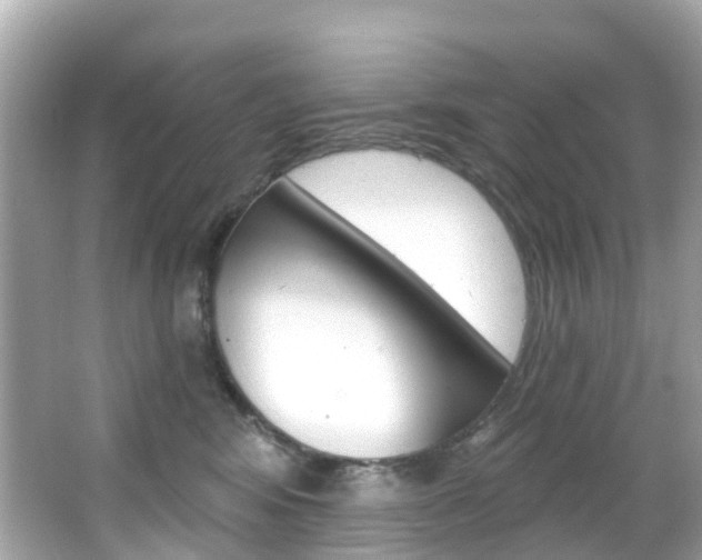 X0000066090424200603101008