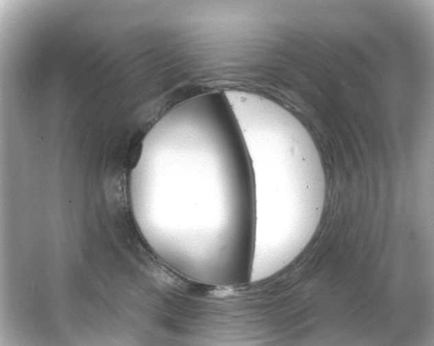 X0000066090425200603101008