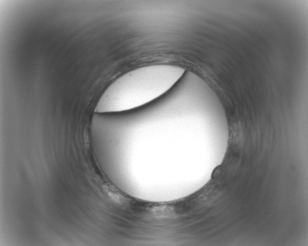 X0000066090426200603101008