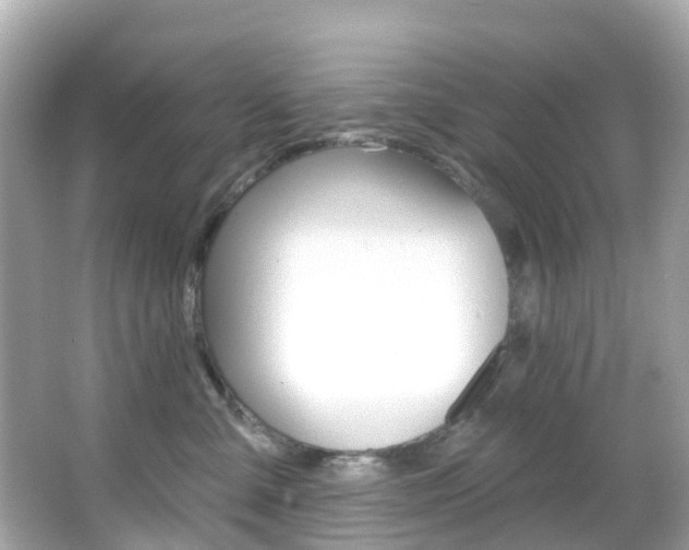 X0000066090427200603101008