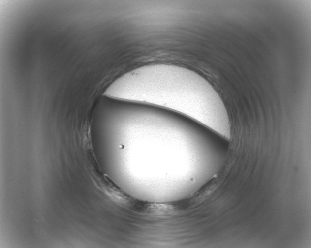 X0000066090429200603101008