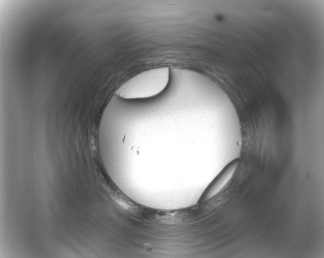 X0000066090430200603101008