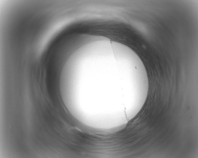 X0000066090431200603101008