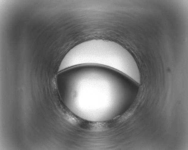 X0000066090432200603101008