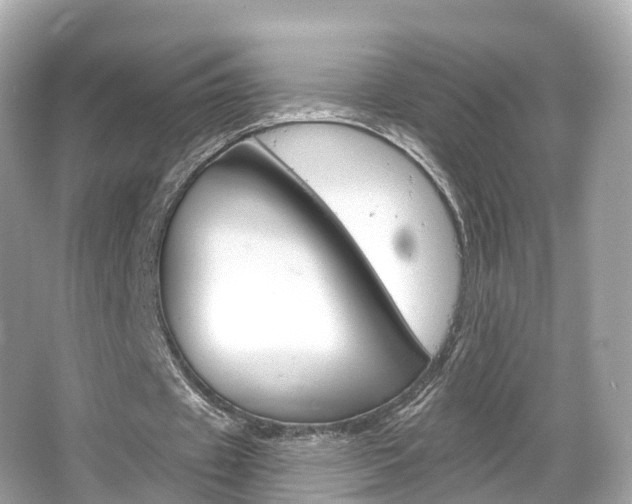 X0000066090433200603101007