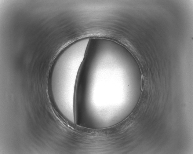 X0000066090434200603101007