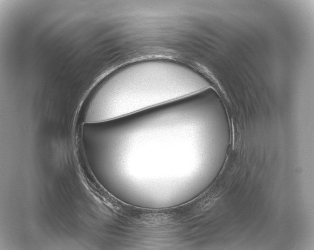 X0000066090435200603101007