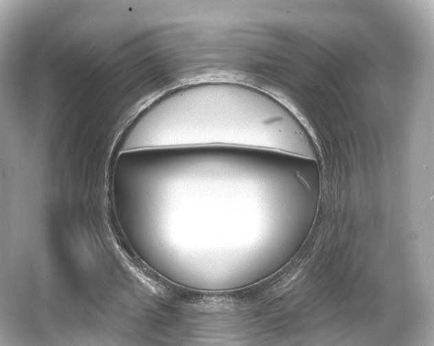 X0000066090437200603101007