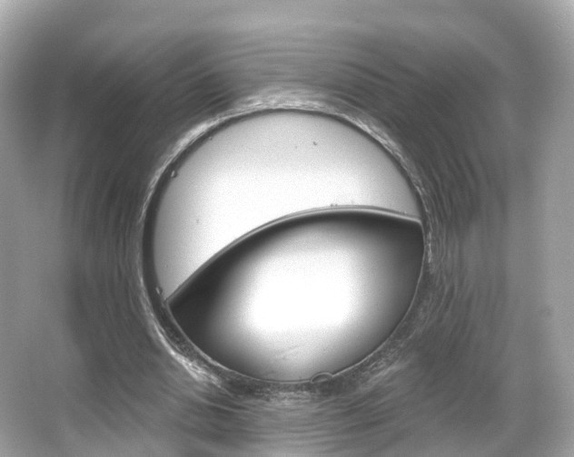 X0000066090438200603101007