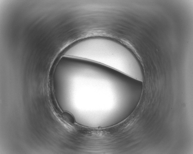 X0000066090439200603101007