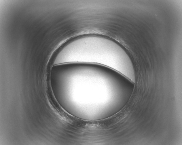 X0000066090440200603101007