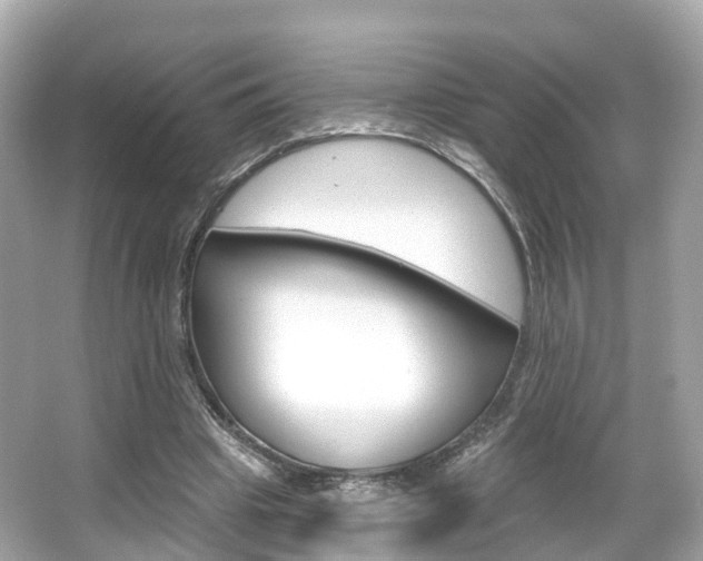 X0000066090441200603101007