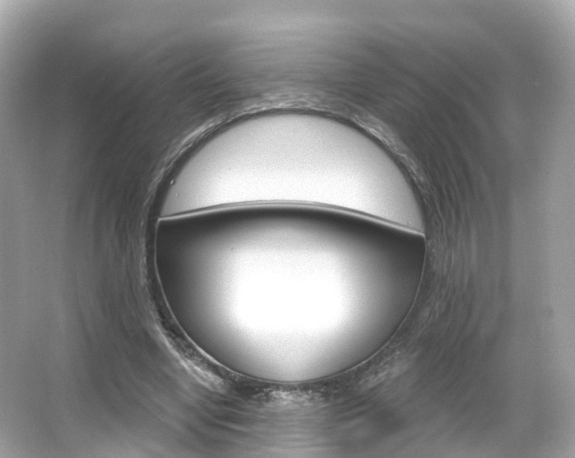 X0000066090442200603101007