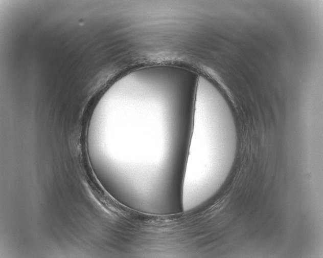 X0000066090443200603101007