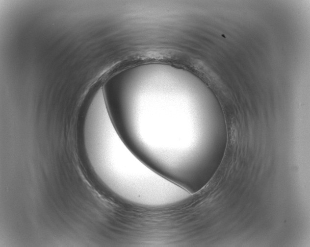 X0000066090444200603101007