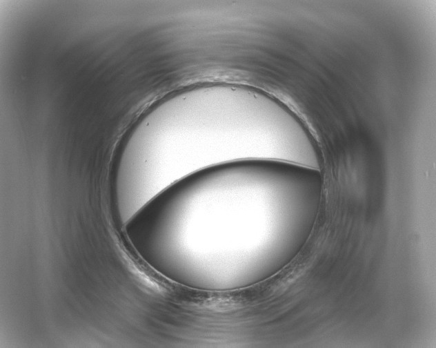 X0000066090445200603101007