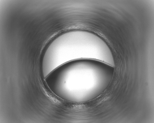 X0000066090446200603101007