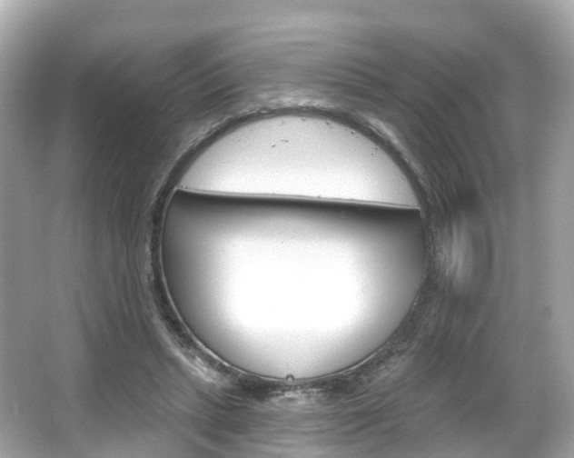 X0000066090447200603101007