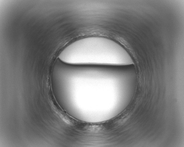 X0000066090449200603101007