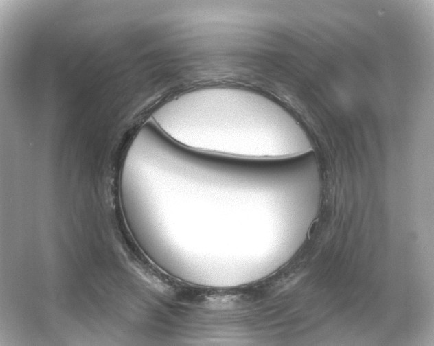 X0000066090450200603101007