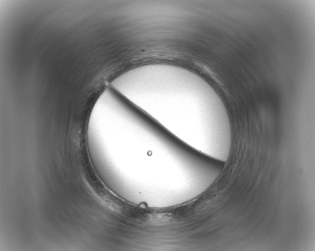 X0000066090451200603101007