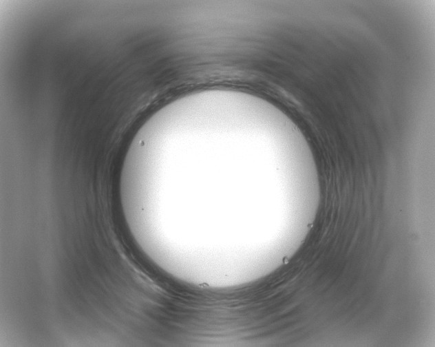 X0000066090452200603101007