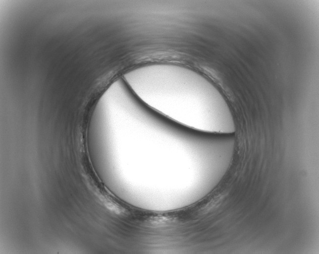 X0000066090453200603101007