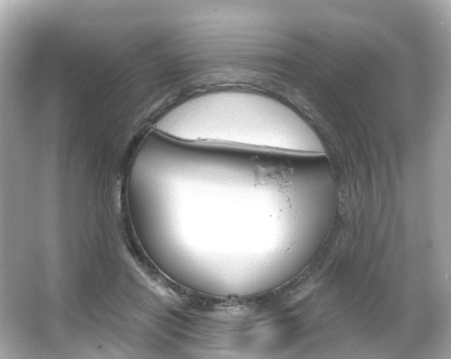 X0000066090454200603101007