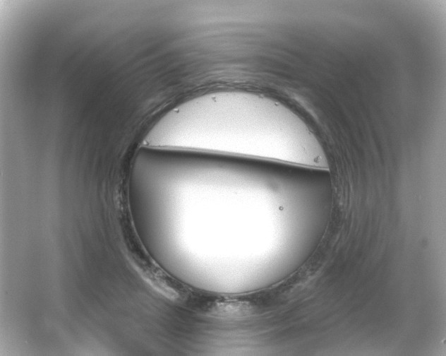 X0000066090455200603101007