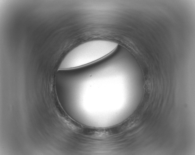 X0000066090458200603101007