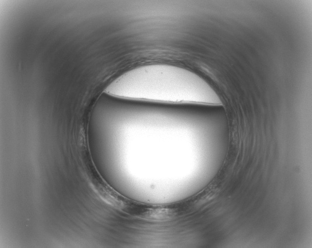 X0000066090459200603101007