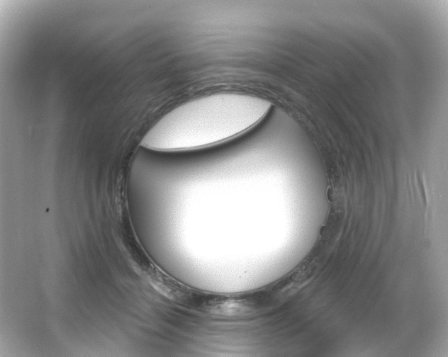 X0000066090460200603101007