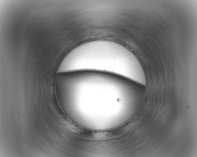 X0000066090461200603101007